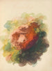 Scarlet — red blot surrounded by green, yellow, blue and violet washes