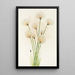 Linaigrette Eriophorum chamissonis - Mary Vaux Walcott — ingelijst kunstwerk aan de muur