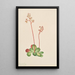 Saxifrage à feuilles persistantes Leptarrhena pyrolifolia - Mary Vaux Walcott — ingelijst kunstwerk aan de muur
