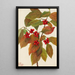 Cornouiller à fleurs Cornus florida - Mary Vaux Walcott — ingelijst kunstwerk aan de muur