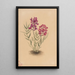 Fleurs du Mesa - Mary Vaux Walcott — ingelijst kunstwerk aan de muur