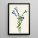 Gentiane frangée Gentiana crinita - Mary Vaux Walcott — ingelijst kunstwerk aan de muur