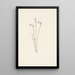 Monotrope uniflore Thalesia uniflora - Mary Vaux Walcott — ingelijst kunstwerk aan de muur