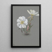 Hellébore géant Epipactia gigantea - Mary Vaux Walcott — ingelijst kunstwerk aan de muur