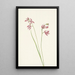 Orchidée rose des prés Limodorum tuberosum - Mary Vaux Walcott — ingelijst kunstwerk aan de muur