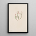 Bruyère Phyllodoce intermedia - Mary Vaux Walcott — ingelijst kunstwerk aan de muur