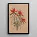 Castilléjie Castilleja rhexifolia - Mary Vaux Walcott — ingelijst kunstwerk aan de muur