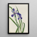Iris Iris species - Mary Vaux Walcott — ingelijst kunstwerk aan de muur