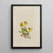 Arnica de Lake Louise Arnica louisiana - Mary Vaux Walcott — ingelijst kunstwerk aan de muur