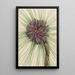 Pin des marais Pinus palustris - Mary Vaux Walcott — ingelijst kunstwerk aan de muur