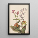 schoonheid van de weiden Rhexia virginica Serpentaire Nabalus albus Sarracénie pourpre Sarracenia purpurea - Mary Vaux Walcott — ingelijst kunstwerk aan de muur