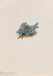 Myosotis des mousses Eritrichum elongatum - Mary Vaux Walcott — weergave van het kunstwerk