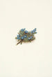 Myosotis des mousses Eritrichum elongatum - Mary Vaux Walcott — weergave van het kunstwerk