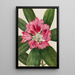 Rhododendron des montagnes Rhododendron catawbiense - Mary Vaux Walcott — ingelijst kunstwerk aan de muur
