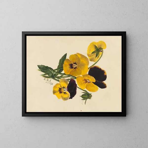 Gedachten - Mary Vaux Walcott — ingelijst kunstwerk aan de muur
