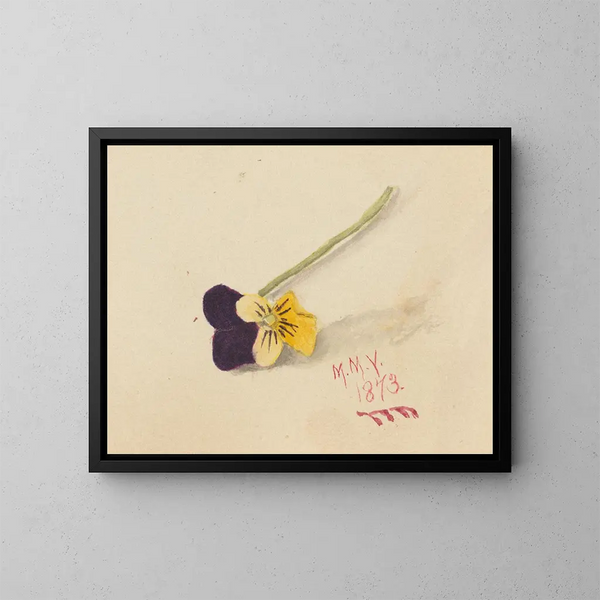 Denken - Mary Vaux Walcott — ingelijst kunstwerk aan de muur