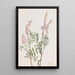Hedysarum rose Hedysarum americanum - Mary Vaux Walcott — ingelijst kunstwerk aan de muur