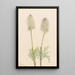 Anémone plume Pulsatilla occidentalis - Mary Vaux Walcott — ingelijst kunstwerk aan de muur