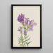 Pentstemon violet Pentstemon lyallii - Mary Vaux Walcott — ingelijst kunstwerk aan de muur