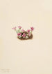 Saxifrage pourpre Saxifraga oppositifolia - Mary Vaux Walcott — weergave van het kunstwerk