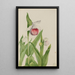 Sabot de la Vierge Cypripedium reginae - Mary Vaux Walcott — ingelijst kunstwerk aan de muur