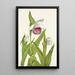 Sabot de la Vierge Cypripedium reginae - Mary Vaux Walcott — ingelijst kunstwerk aan de muur