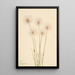 Linaigrette gracile Eriophorum chamissonis - Mary Vaux Walcott — ingelijst kunstwerk aan de muur