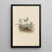 Violette de la côte sud Viola septemloba - Mary Vaux Walcott — ingelijst kunstwerk aan de muur