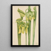 Sarracénie geel Sarracenia flava - Mary Vaux Walcott — ingelijst kunstwerk aan de muur