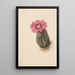 Cactus tête de dinde Echinocerus perbellus - Mary Vaux Walcott — ingelijst kunstwerk aan de muur