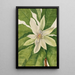 Magnolia à grandes feuilles Magnolia tripetala - Mary Vaux Walcott — ingelijst kunstwerk aan de muur