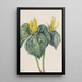 Fleur de whippoorwill - Mary Vaux Walcott — ingelijst kunstwerk aan de muur