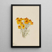Zinnia Zinnia grandiflora - Mary Vaux Walcott — ingelijst kunstwerk aan de muur