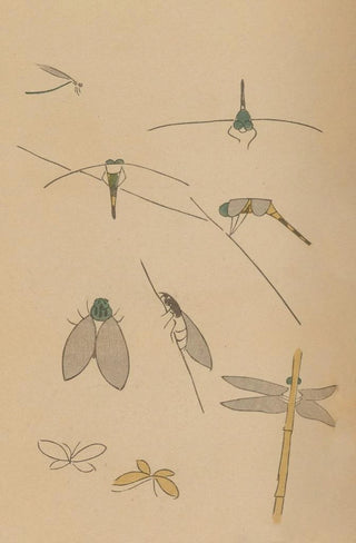 Masayoshi Kitao - Choju ryakugashiki Pl34.webp