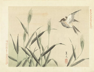 Matsumura Keibun - Barley and skylark.webp