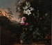 Natuurmoe - Matthias Withoos — weergave van het kunstwerk