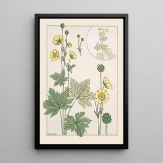 Maurice Pillard Verneuil - Bouton dor.webp