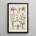 Iris - Maurice Pillard Verneuil — ingelijst kunstwerk aan de muur