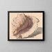 Schelp - Maurits van der Valk — ingelijst kunstwerk aan de muur