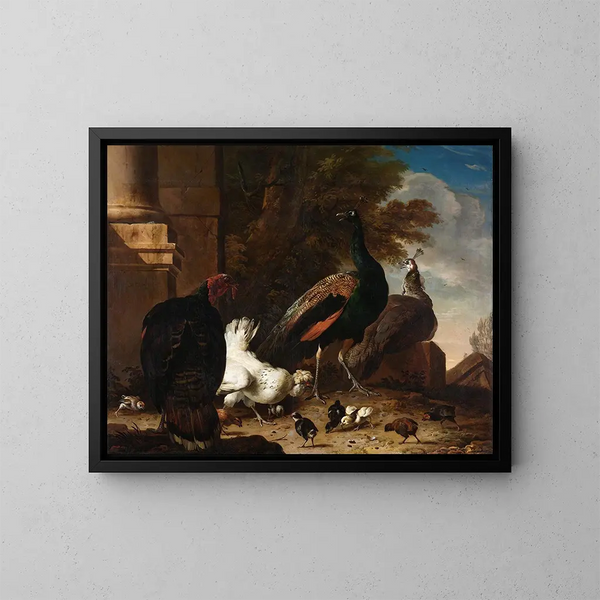 van een kip met pauwen en een kalkoen - Melchior d'Hondecoeter — ingelijst kunstwerk aan de muur