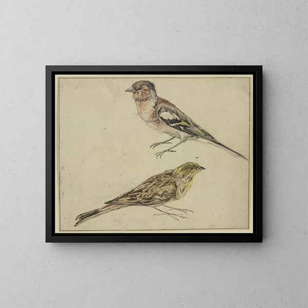 van een goudvink en een vink - Melchior d'Hondecoeter — ingelijst kunstwerk aan de muur