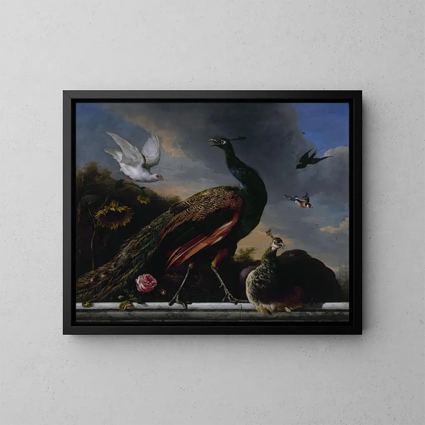 Pauwen mannelijk en vrouwelijk - Melchior d'Hondecoeter — ingelijst kunstwerk aan de muur
