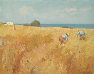 Michalis Oikonomou - In The Field.webp