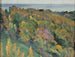 Studie van het landschap - Mikhail Nesterov — weergave van het kunstwerk