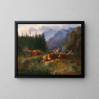 Moritz Mller - Stags in the Mountains.webp