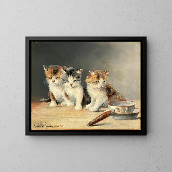 Drie katjes - Moritz Müller — ingelijst kunstwerk aan de muur