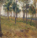 Bosmotief in Kritzendorf - Carl Raimund Lorenz — weergave van het kunstwerk