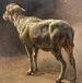 Mouton - Christian Mali — weergave van het kunstwerk
