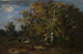 Landelijke Schilderij in het herfstbos - Narcisse Virgile Diaz de la Peña — weergave van het kunstwerk
