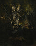 Oude Beukenstammen - Narcisse Virgile Diaz de la Peña — weergave van het kunstwerk